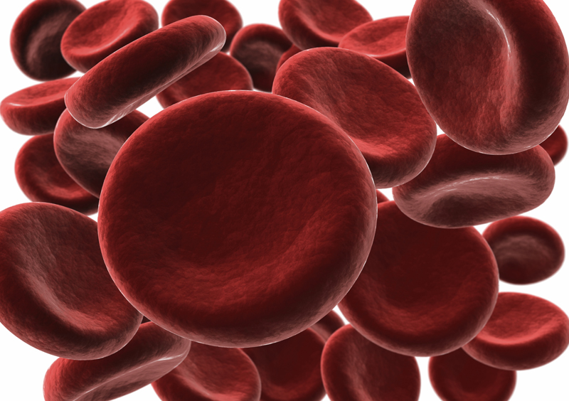 disorders-of-the-red-blood-cell-umc-utrecht